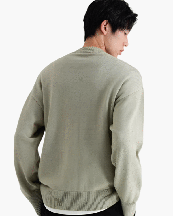 10_8b6ffac9-a3cf-48cb-b9b1-b6dce35f7f93-1.png 100% Premium Wool Turtleneck