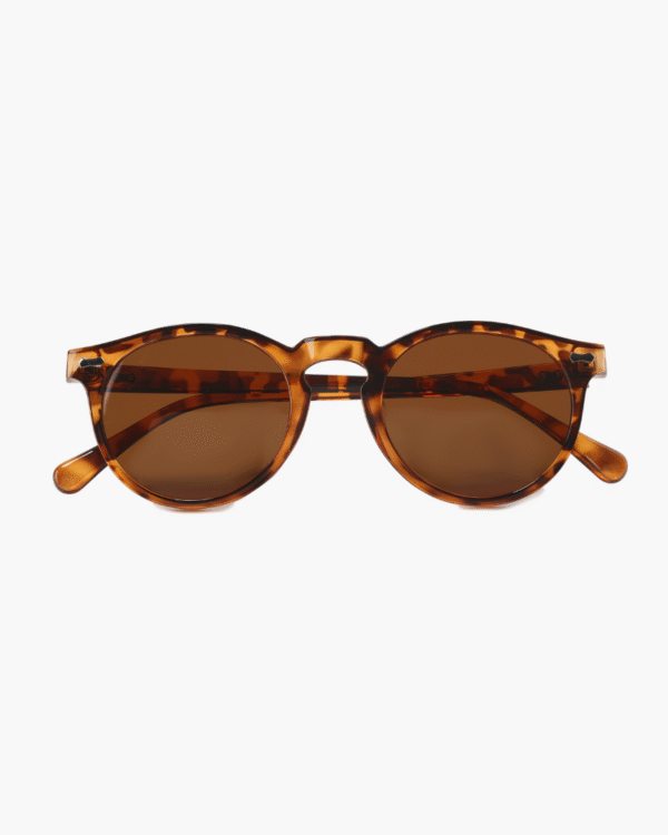 35_fe9a4c72-a32f-4826-ad58-09dbf45b4bb8-1.png Old Money Sunglasses (Polarised)
